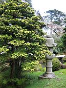 San Fran Vacation 112